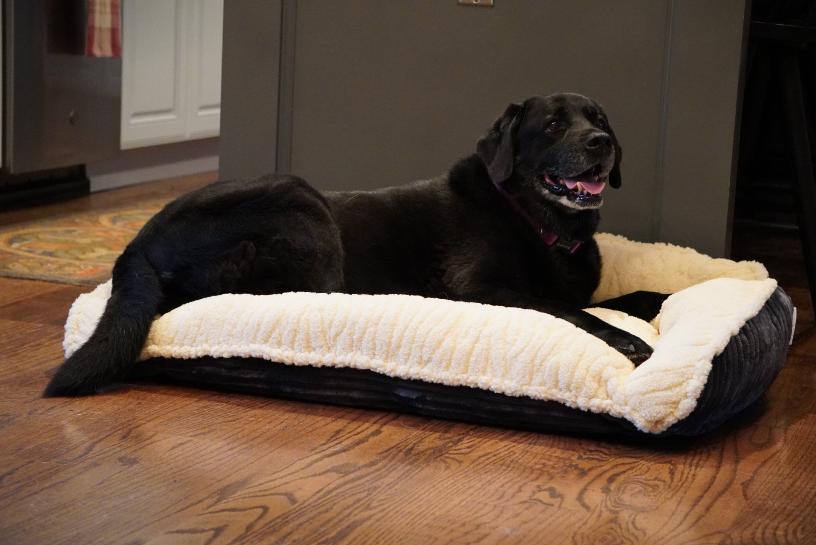 Dark bolster dog bed with white plush cover and wide flat sleeping pad