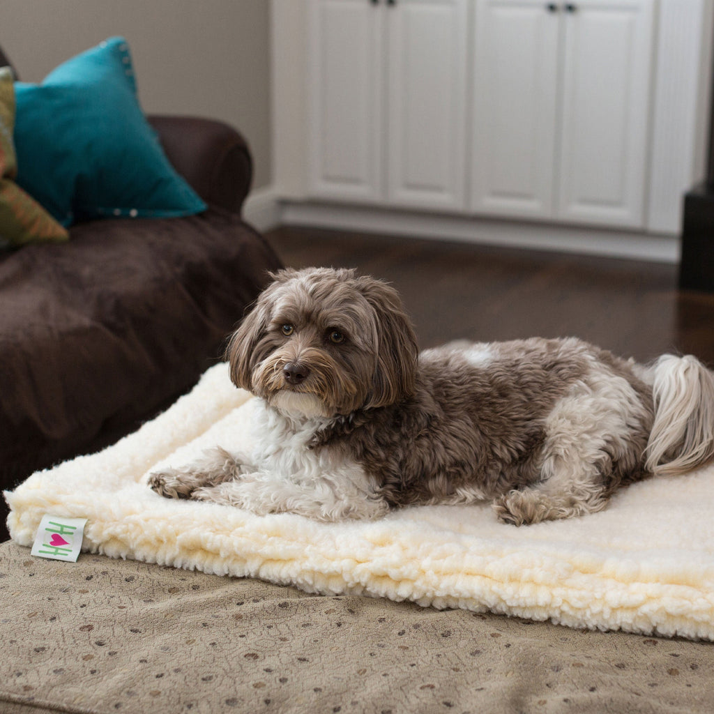 Natural fleece pet mat bed with dog lying on it