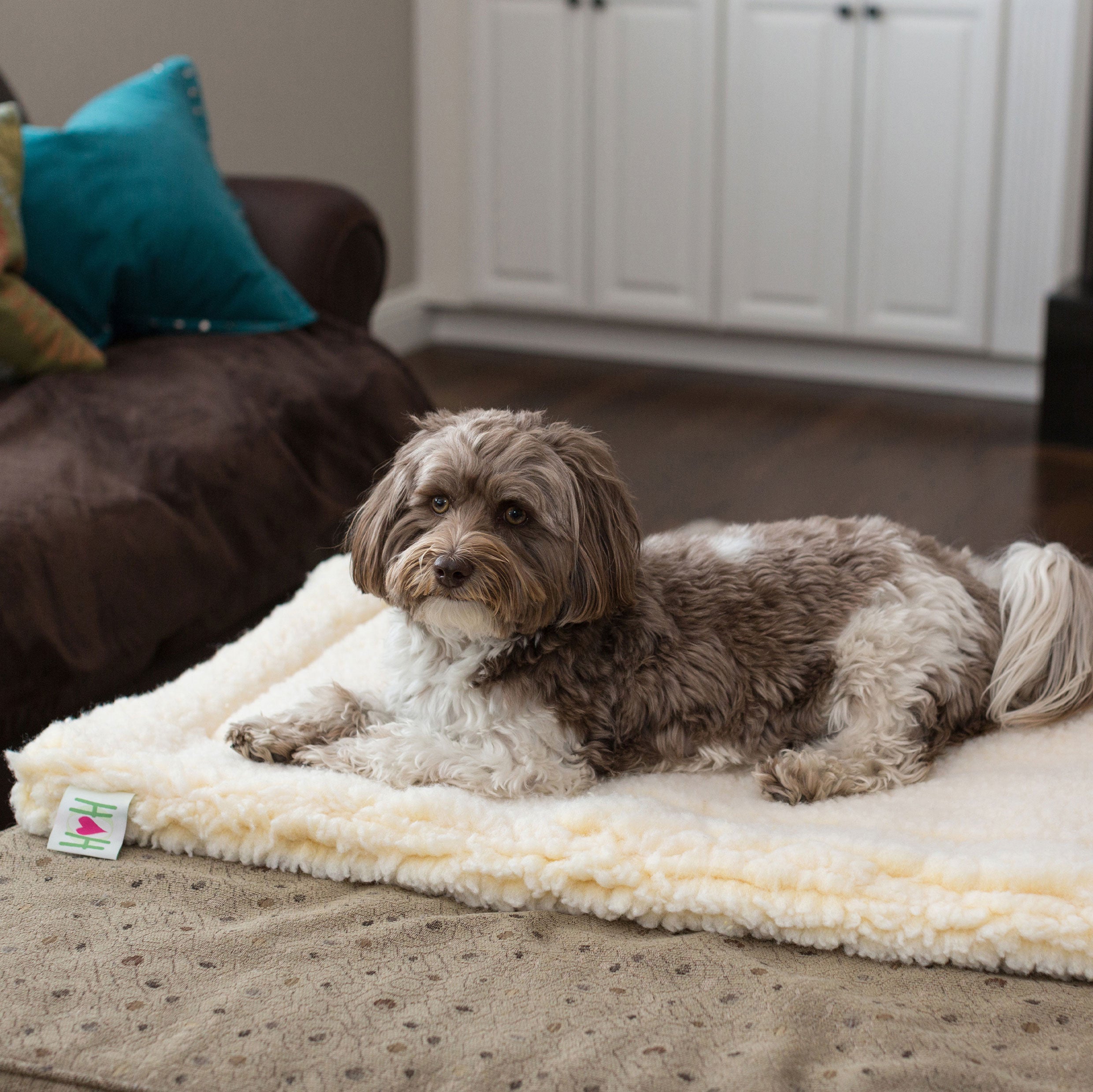 Natural fleece pet mat bed with dog lying on it