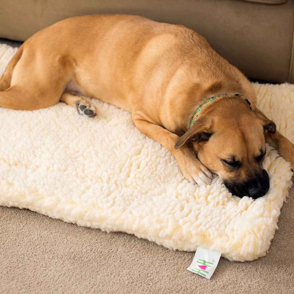 Natural fleece pet mat bed with brown dog lying down