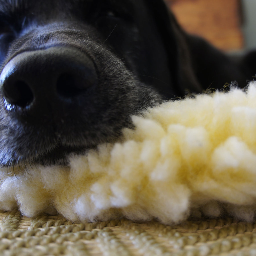 Fleece pet mat with dark gray plush side and light cream soft pile