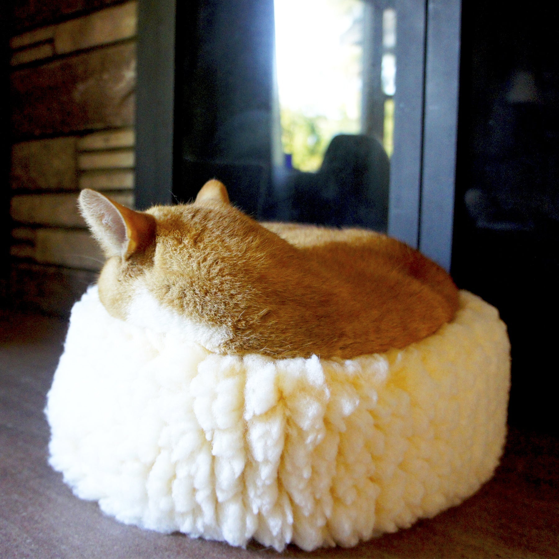 Dog lying on round cream plush pet bed with thick curled fleece