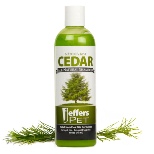 Green Cedar all-natural shampoo bottle with front label for Jiffers PET