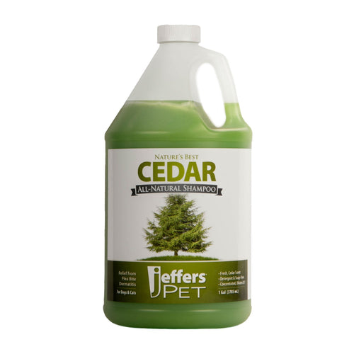 Green Cedar all-natural shampoo bottle with side handle and front label, Jiffers PET
