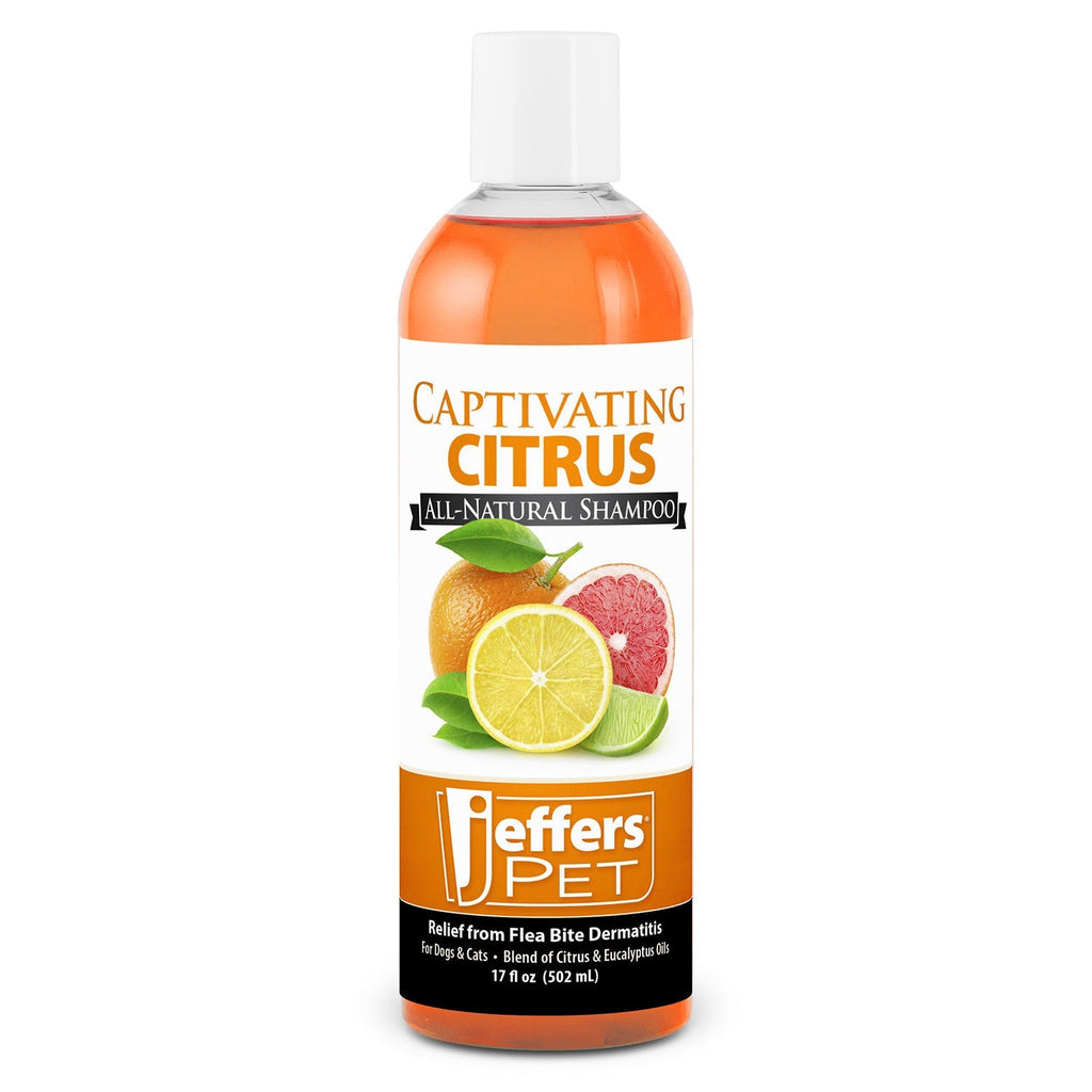 Orange citrus shampoo bottle with Jeffer's PET label and white cap.
