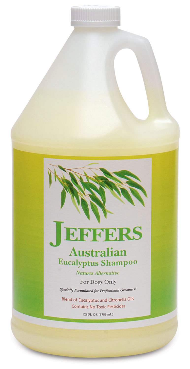 Eucalyptus dog shampoo gallon jug with handle, amber liquid, and green plant label