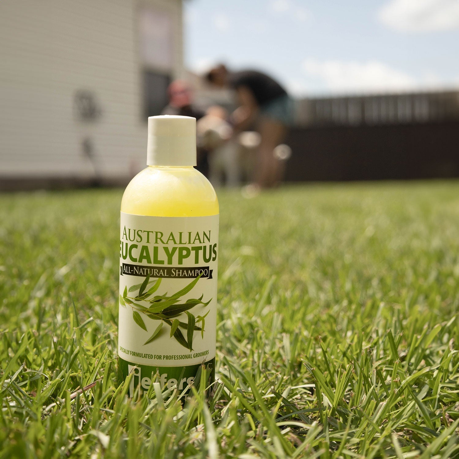 Natural Eucalyptus Dog Shampoo – Flea, Tick & Insect Repellent
