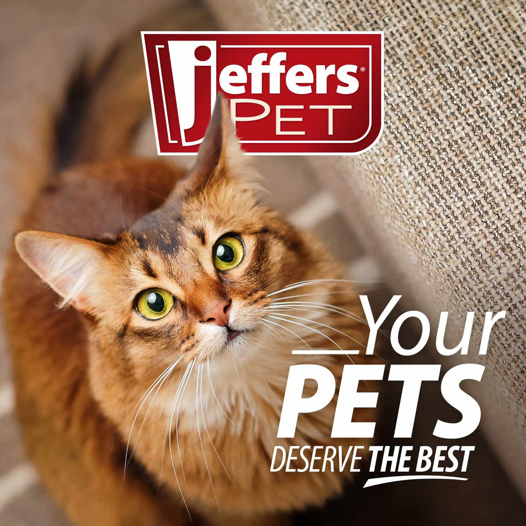 Belly Buddy Probiotic Supplement Packets for Cats