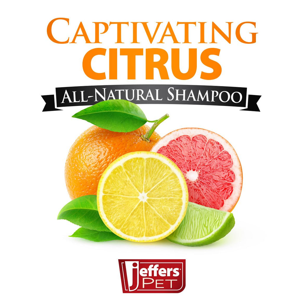 Citrus Flea Bite Relief Shampoo for Dogs & Cats