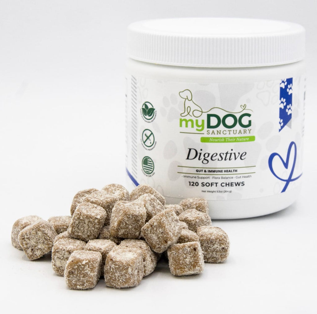 Digestive support soft chew jar with white lid and a pile of soft chews
