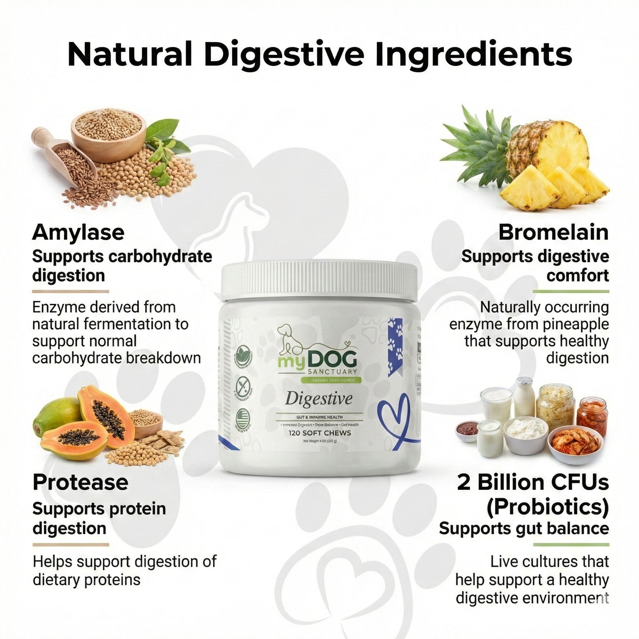 Digestive support soft chew jar with natural ingredient highlights and probiotic count