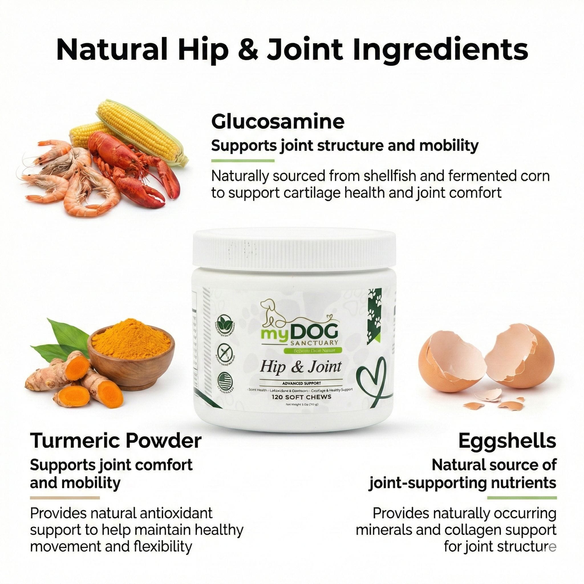 Hip & joint supplement jar with ingredient bowls: turmeric, eggshells, glucosamine