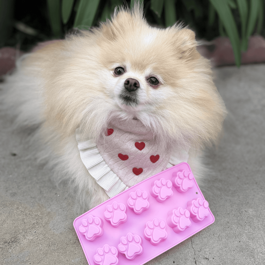 Silicone Pet Treat Molds