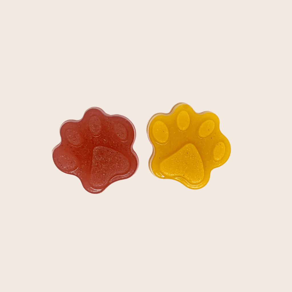 Silicone Pet Treat Molds
