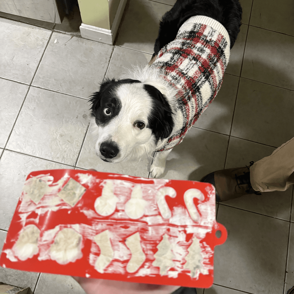 Silicone Pet Treat Molds