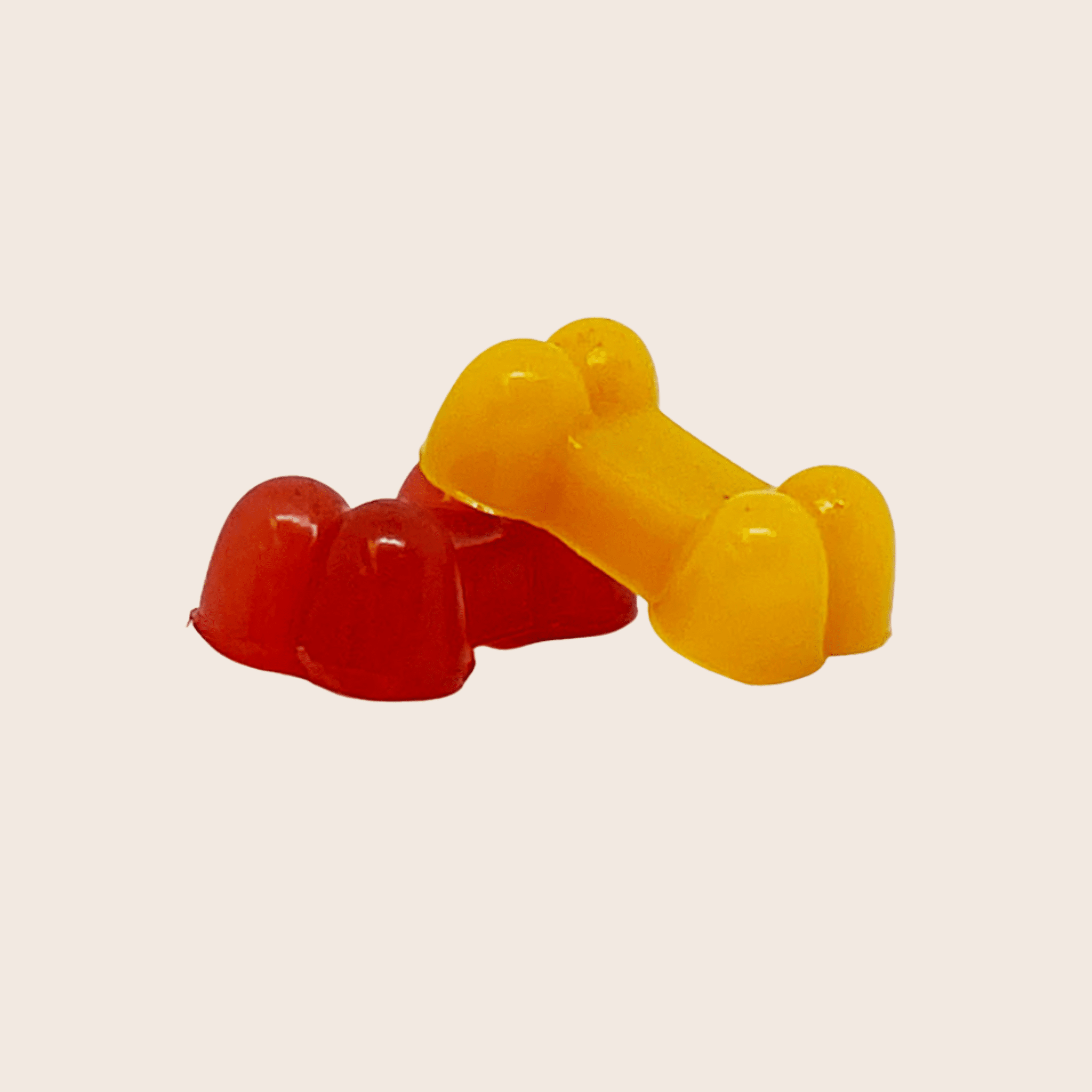 Silicone Pet Treat Molds