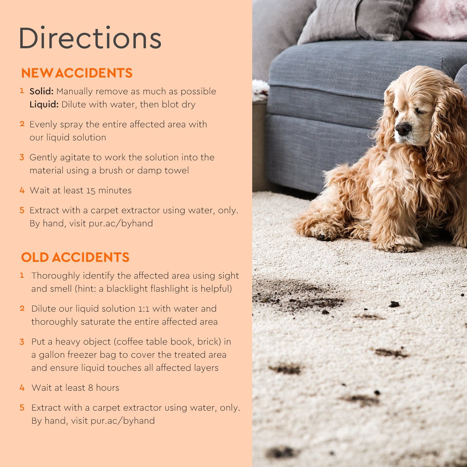 Dog sitting on carpet with visible dirt stain; directions panel shown on left