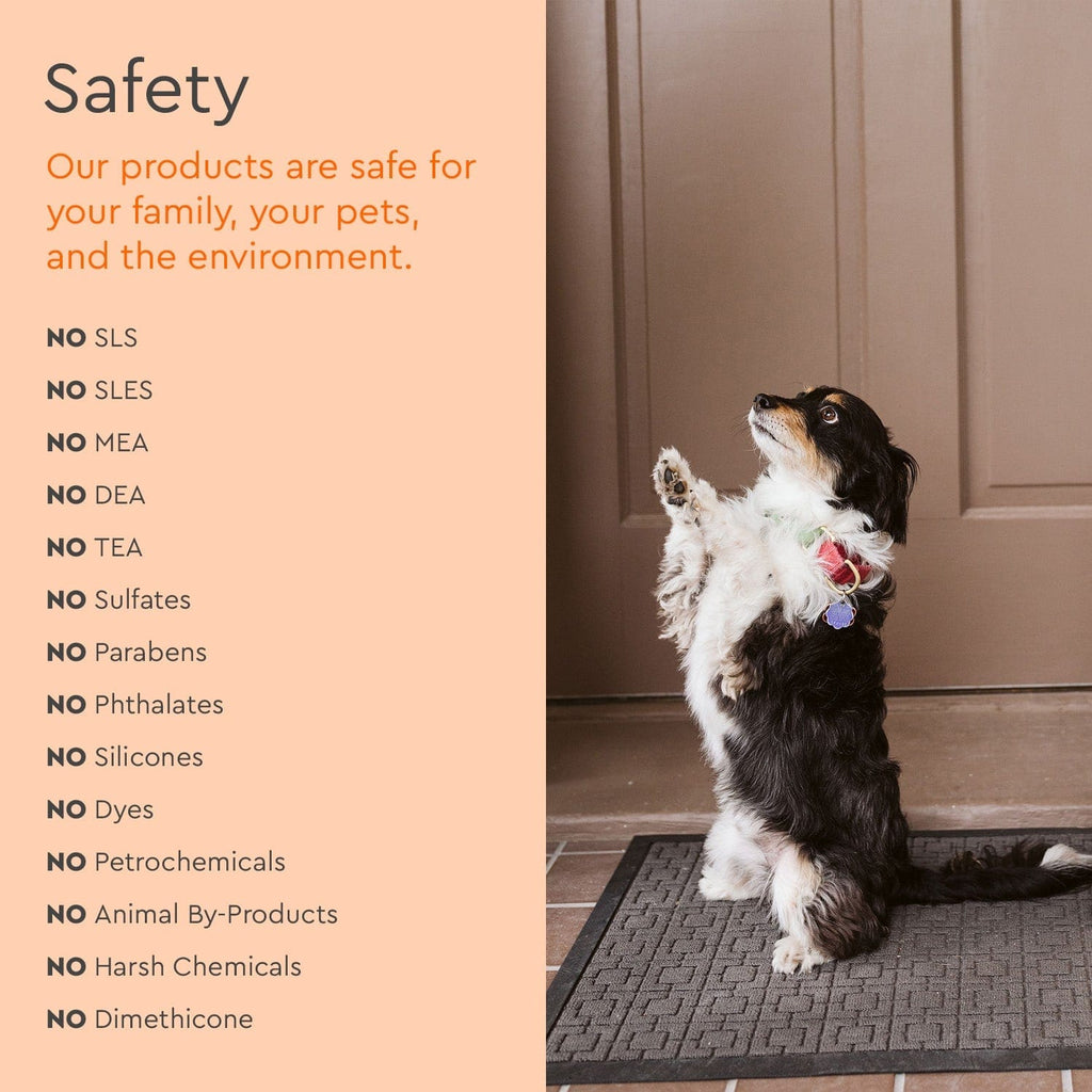 Dog standing on entryway mat beside safety checklist panel