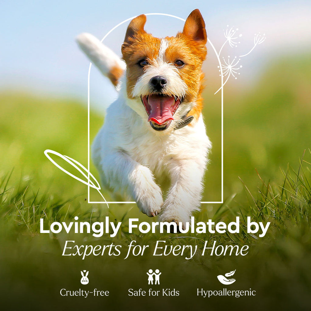Small terrier dog running outdoors with 'Lovingly Formulated' banner and icons