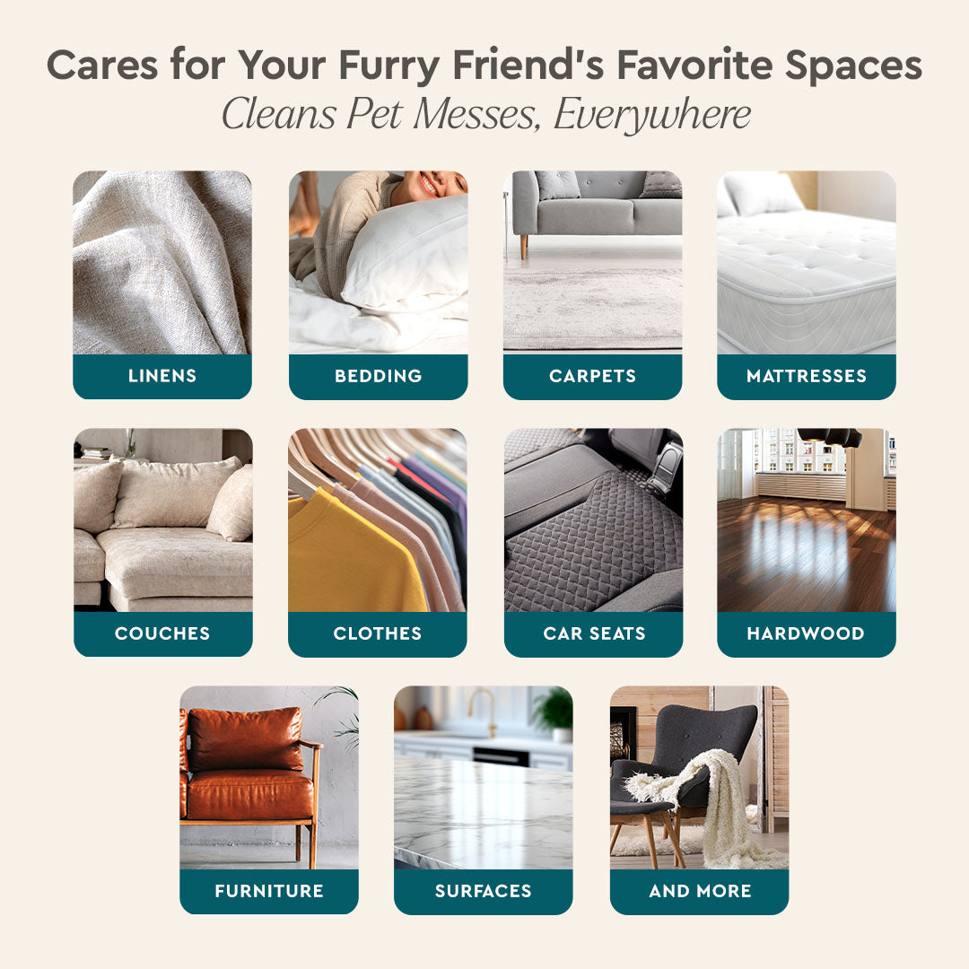 Pet mess cleaning areas infographic: linens, bedding, carpets, mattresses