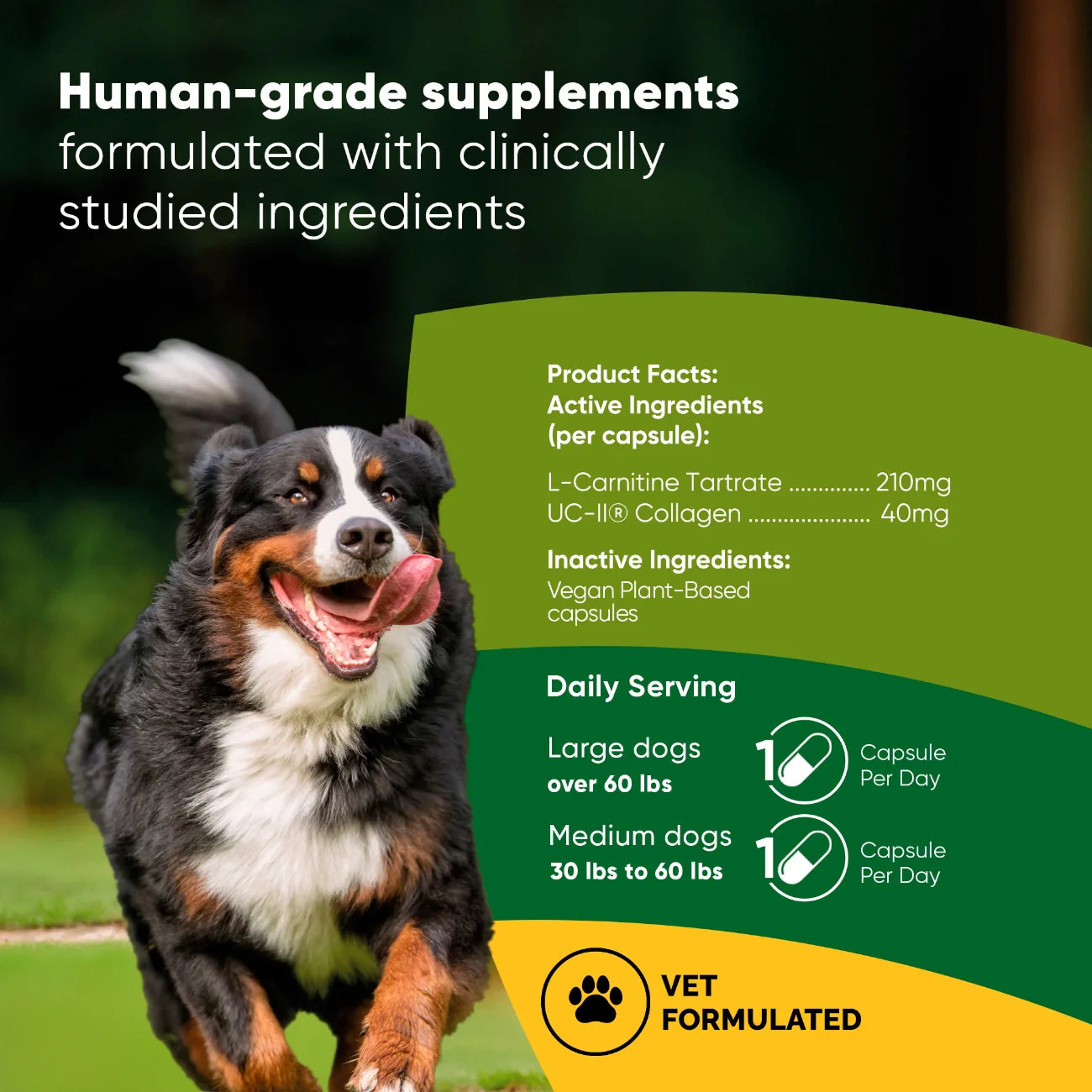 Pet supplement label graphic with dog and active ingredient product facts panel