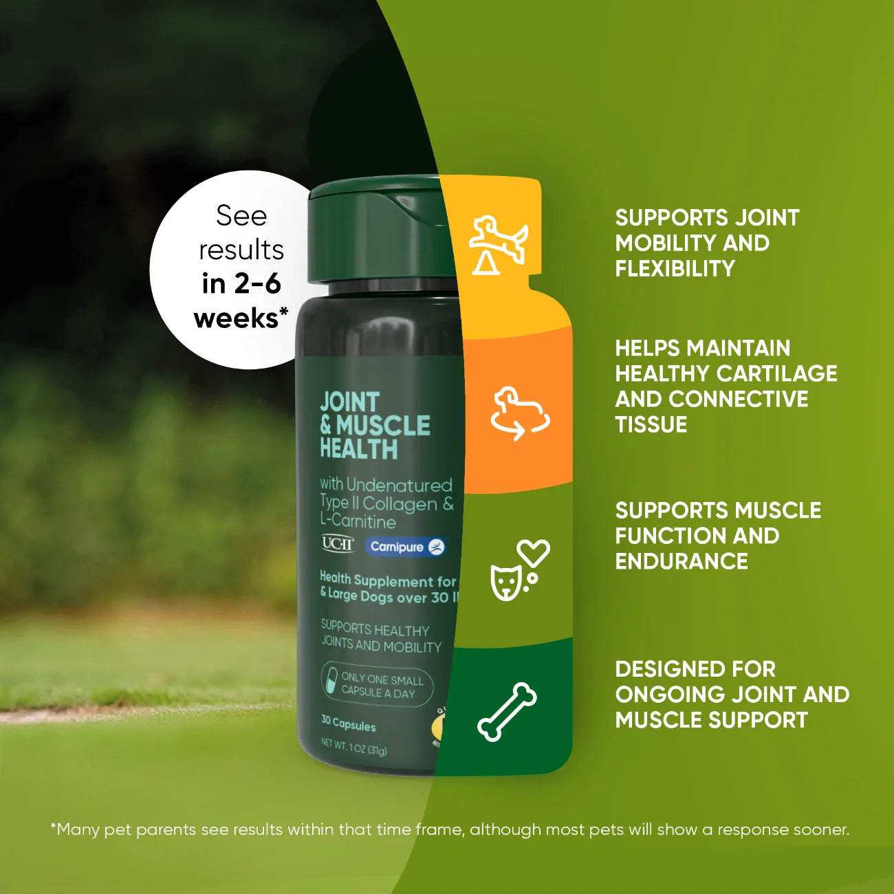 Pet supplement bottle with green label and orange side highlights for joint mobility