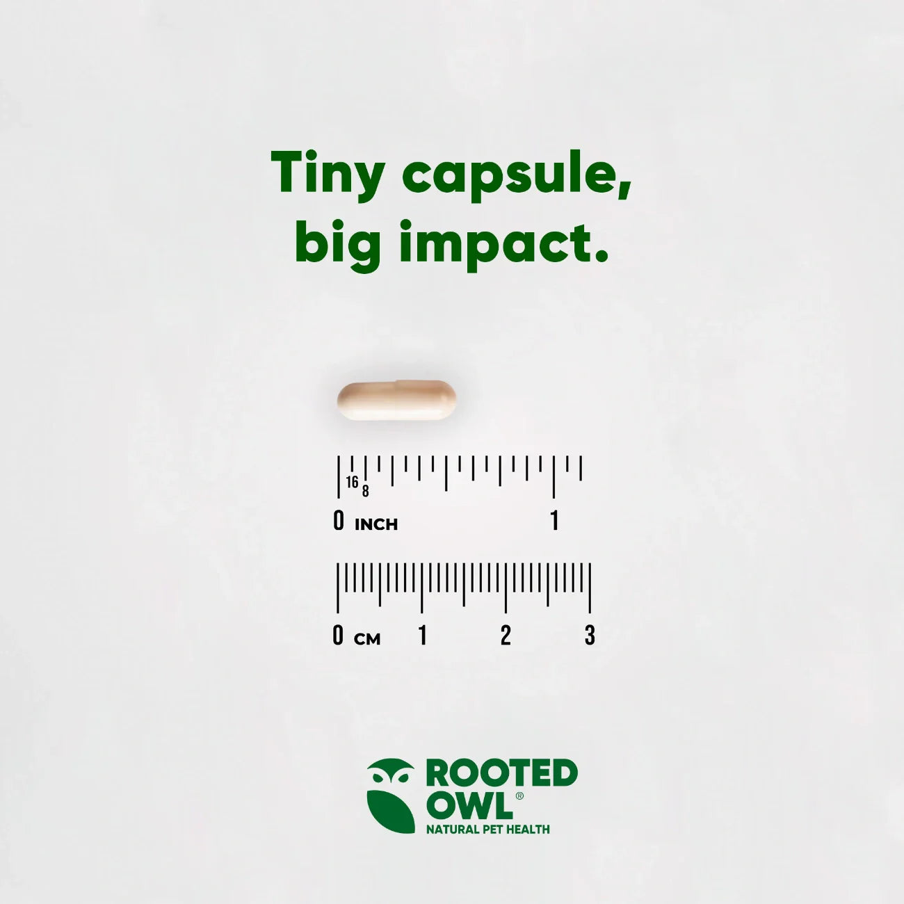Single small capsule shown above inch and centimeter measurement scale