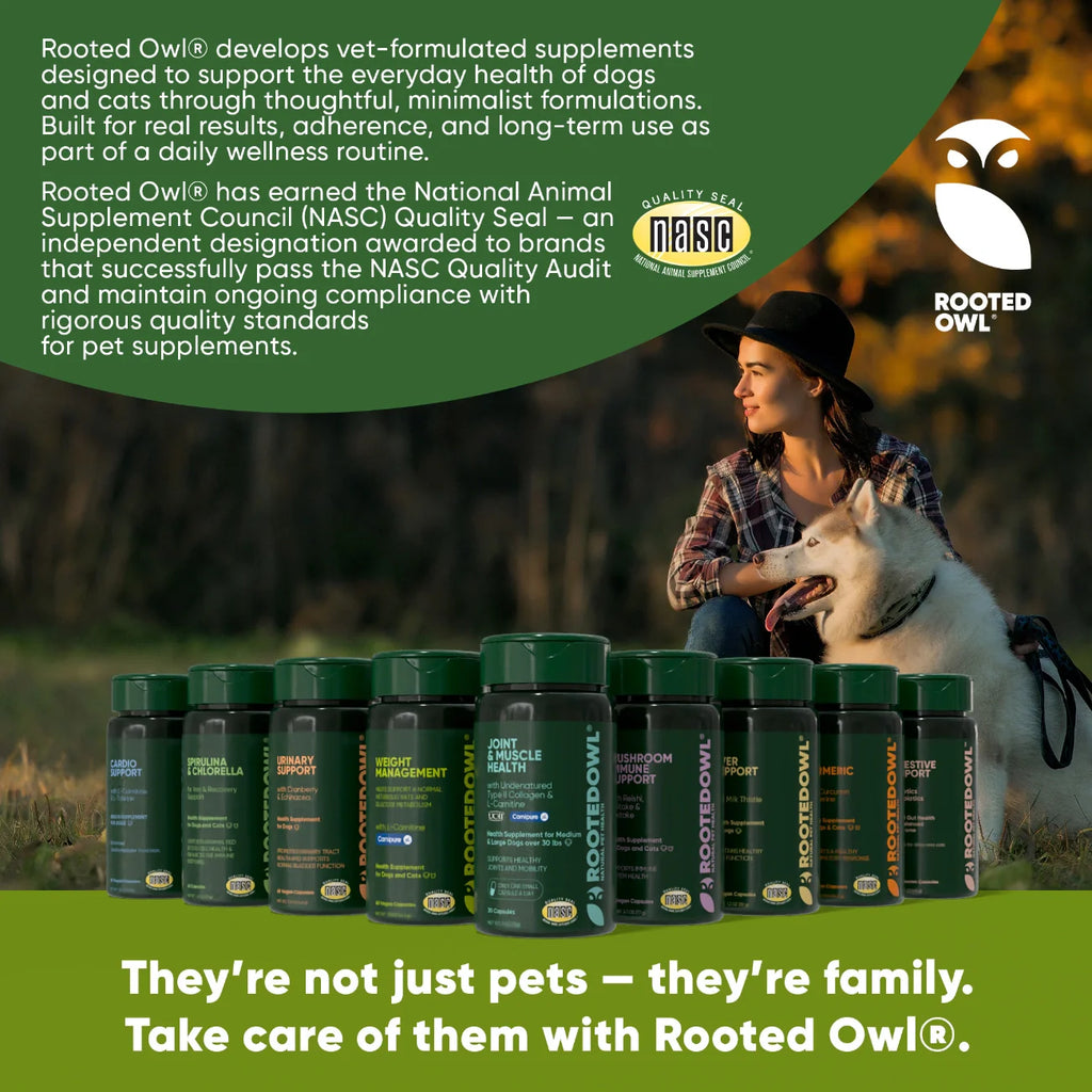 Row of green pet supplement bottles with Rooted Owl branding and dog outdoors