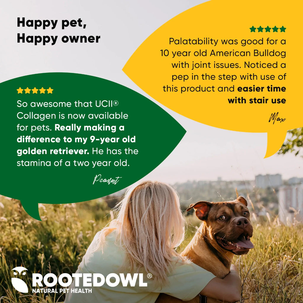 Pet supplement review graphic with owner and dog, Rooted Owl natural pet health