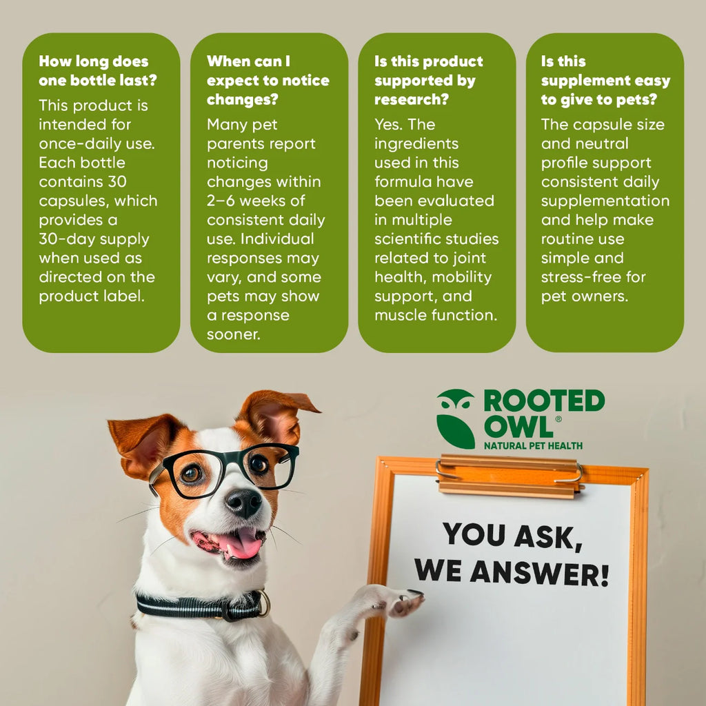 Pet supplement FAQ infographic with dog and Rooted Owl logo, you ask we answer