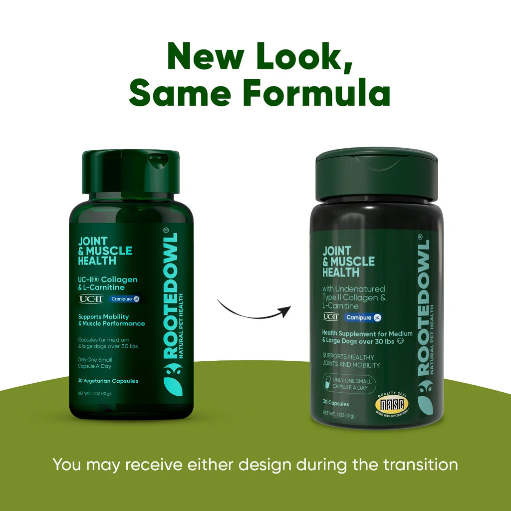 Two dark green supplement bottles labeled Joint & Muscle Health with transition arrow
