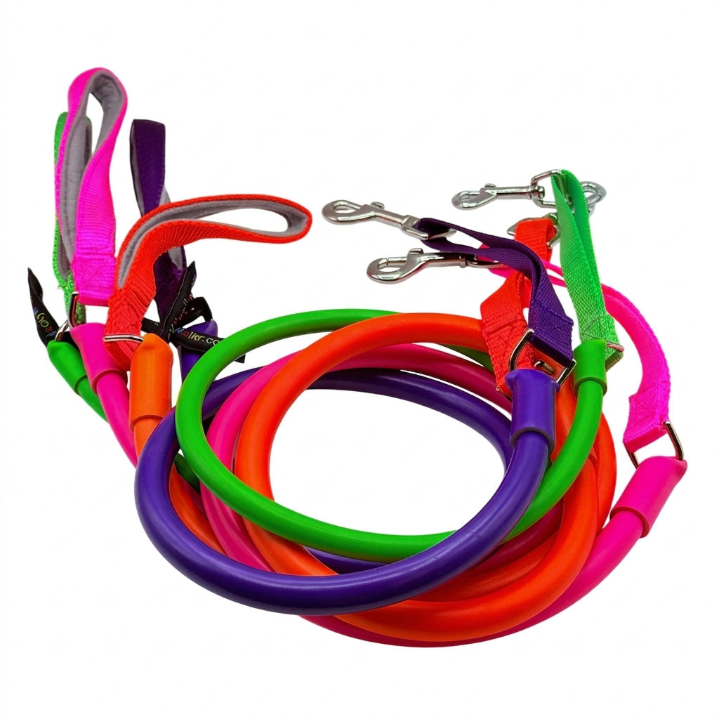 No-pull dog leash set with multi-color bungee cord and metal clips
