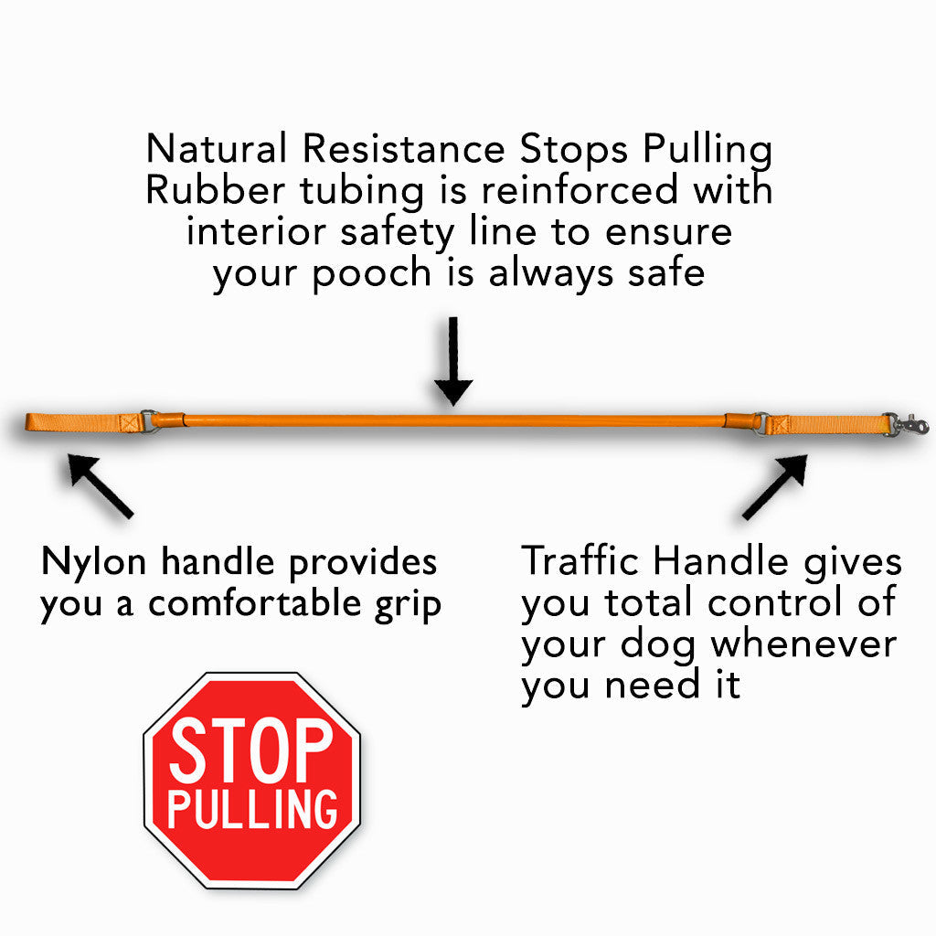 No-pull dog leash with orange bungee cord, nylon handle, and traffic handle