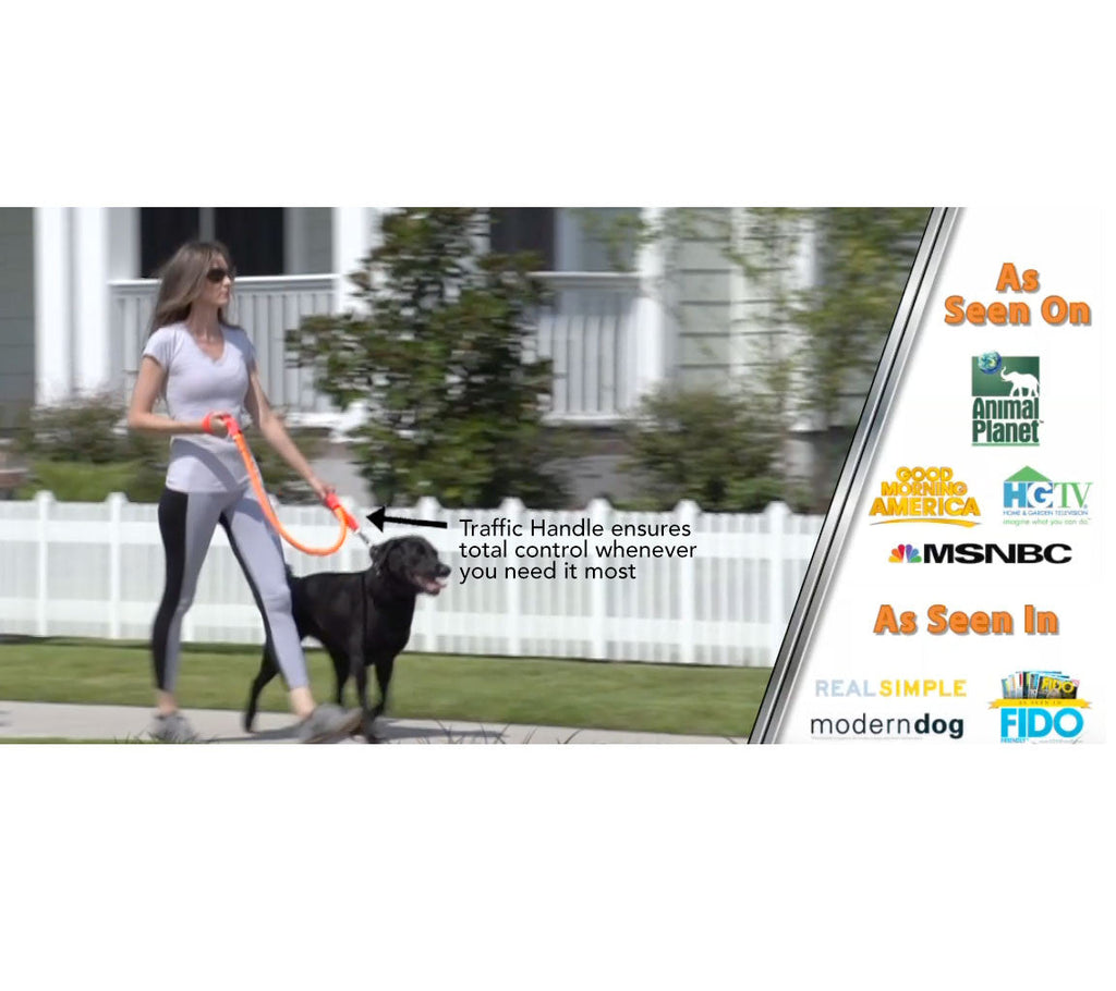 No-pull dog leash with orange strap and bungee leash line