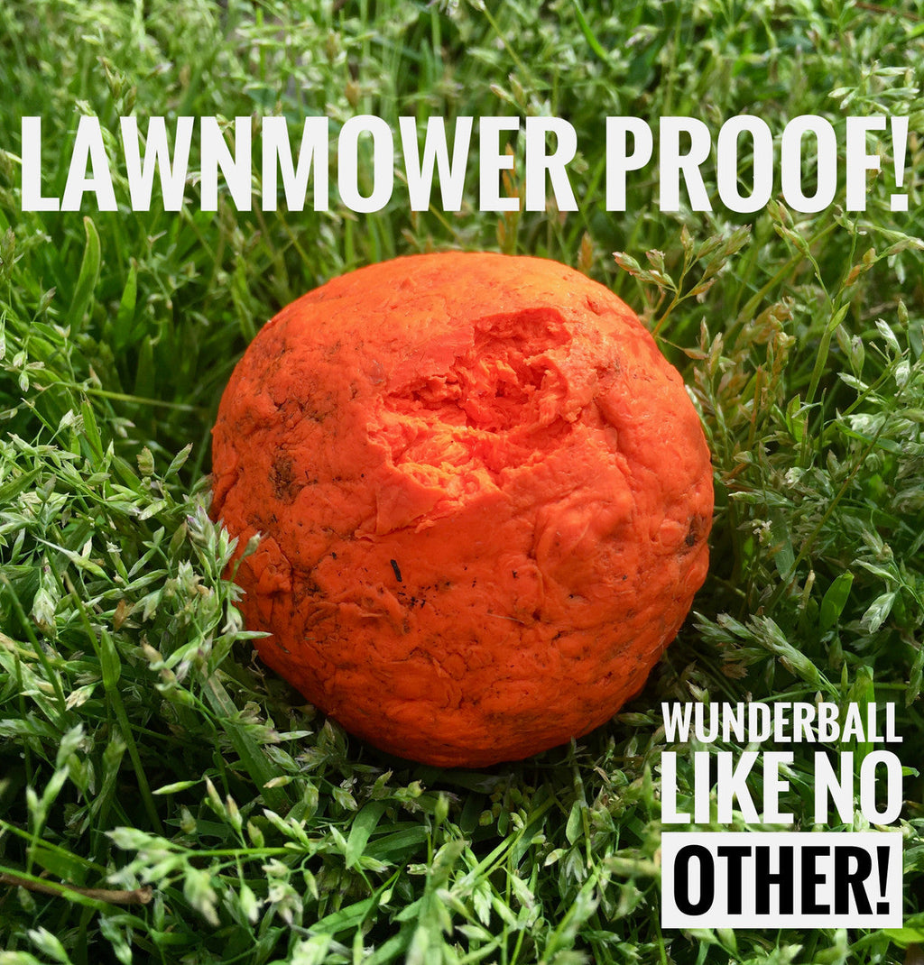 Orange WUNDERball fetch ball lying on green grass