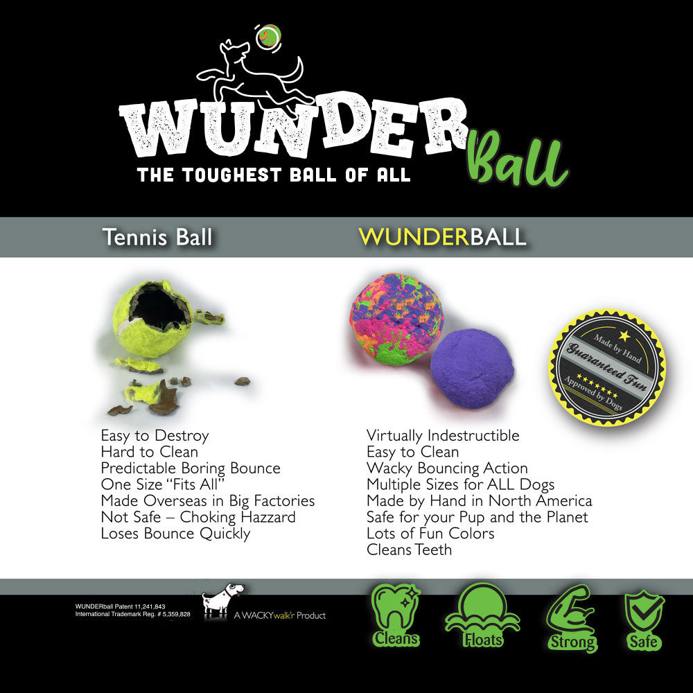 Assorted textured fetch balls and tennis ball shown in a product feature graphic