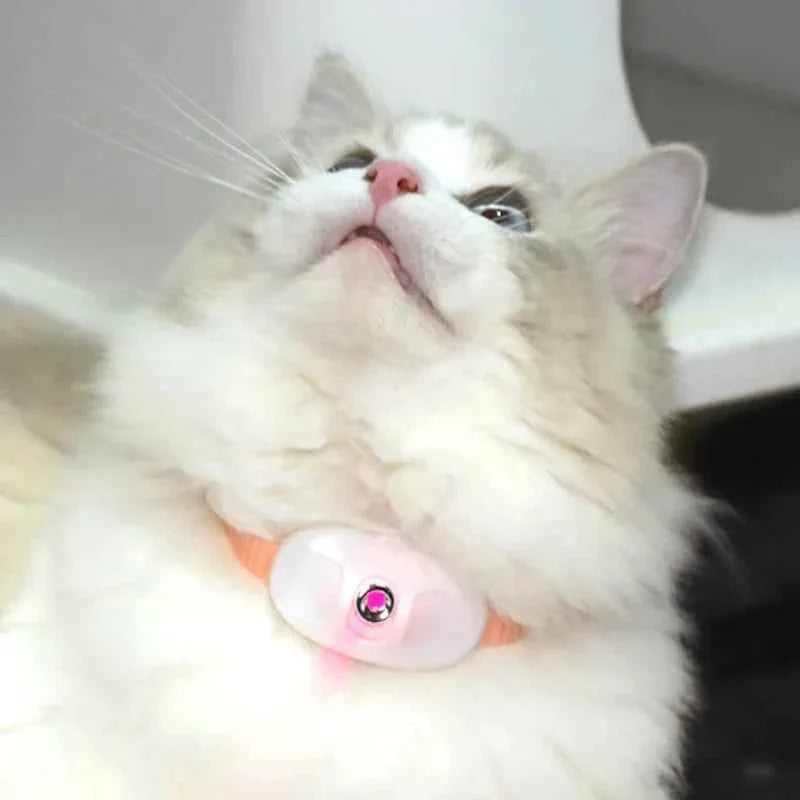Smart laser cat teaser collar with orange collar and white laser unit