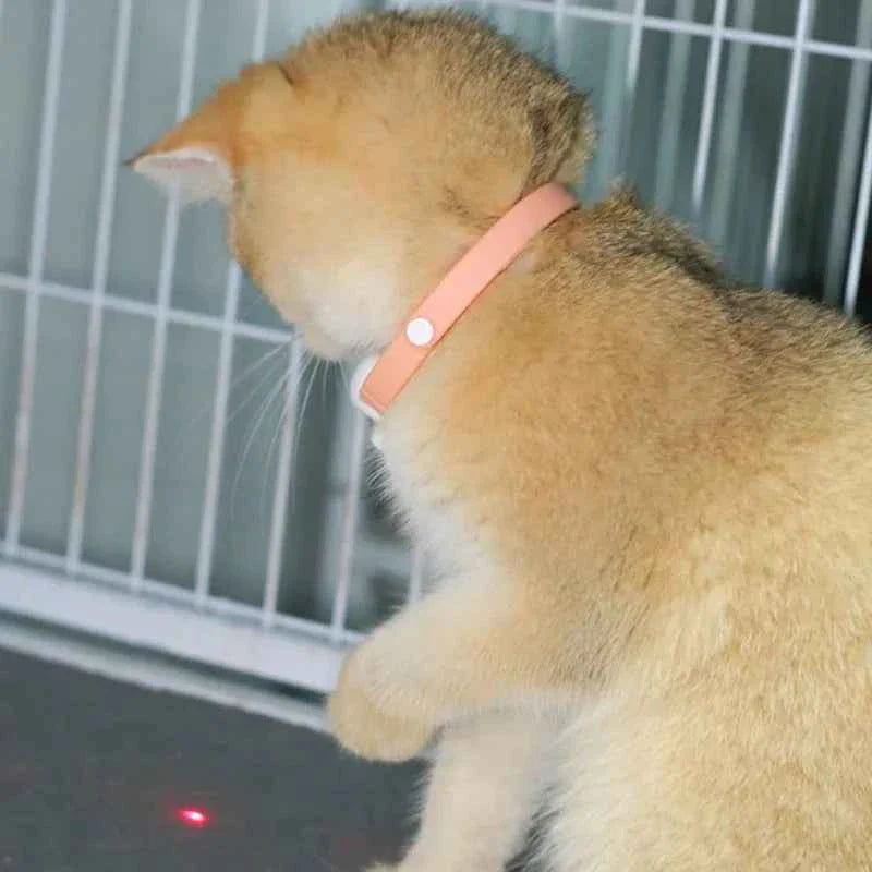 Smart laser cat teaser collar with light pink collar and white laser unit