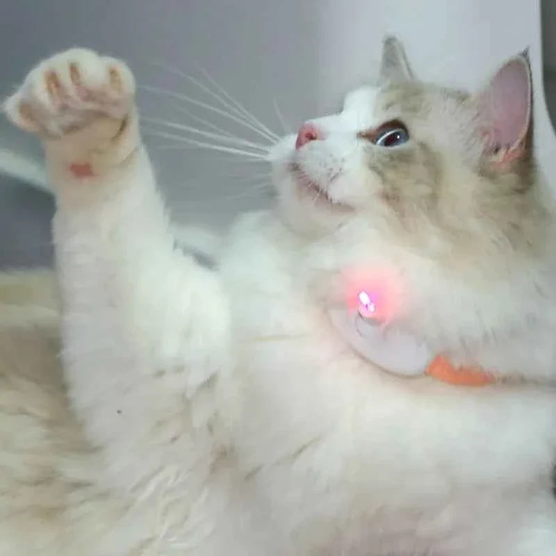 Smart laser cat teaser collar with orange collar and glowing white laser