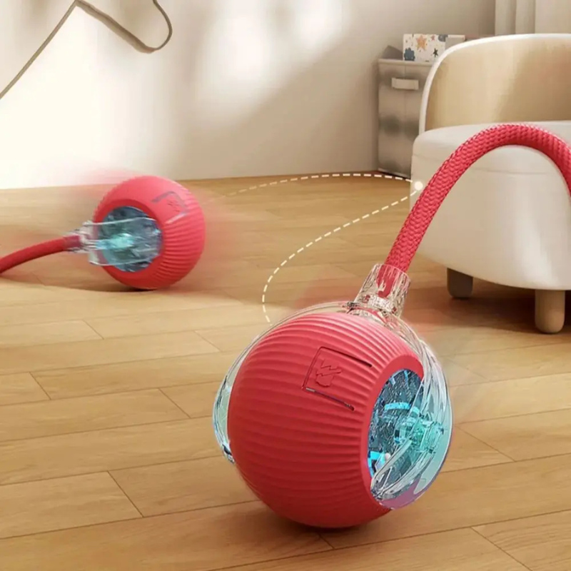 Red interactive cat ball toy with clear side window and red rope track