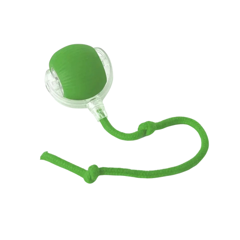 Green interactive cat ball toy with clear side window and green rope track