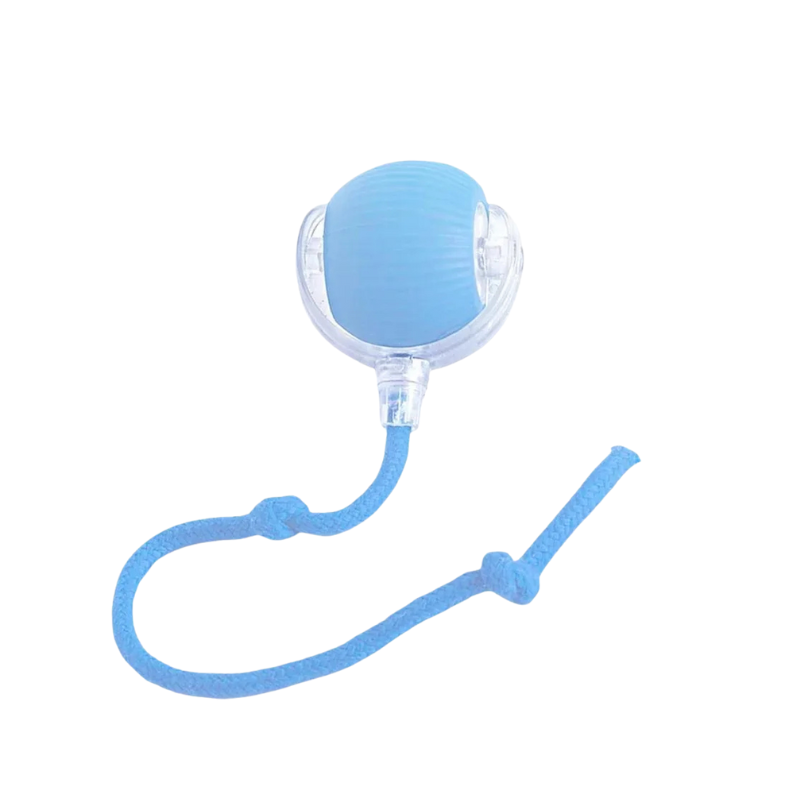 Blue interactive cat ball toy with clear side window and blue rope track
